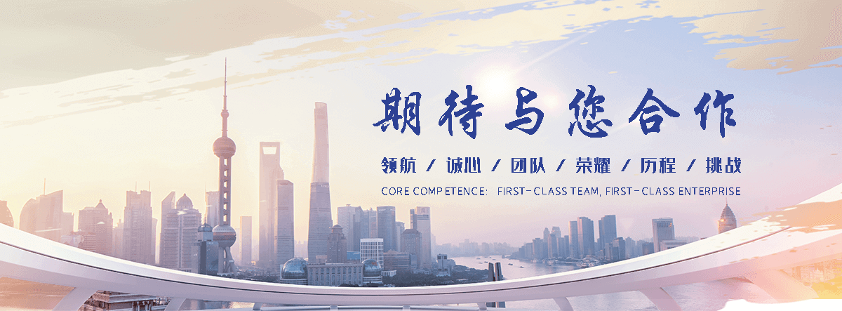 阜新海狮租赁公司